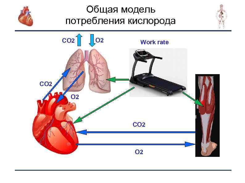 Кислород co