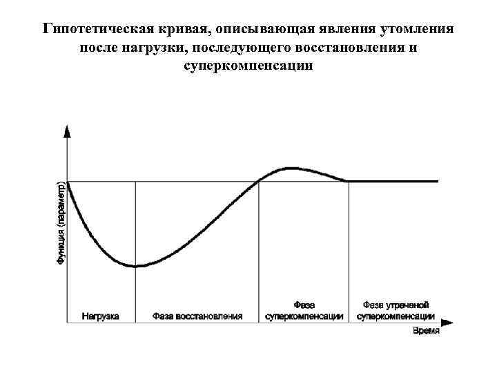 Гипотетическая кривая, описывающая явления утомления после нагрузки, последующего восстановления и суперкомпенсации 