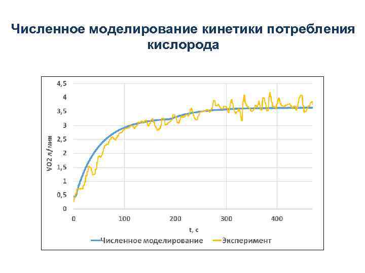 Численное моделирование кинетики потребления кислорода 