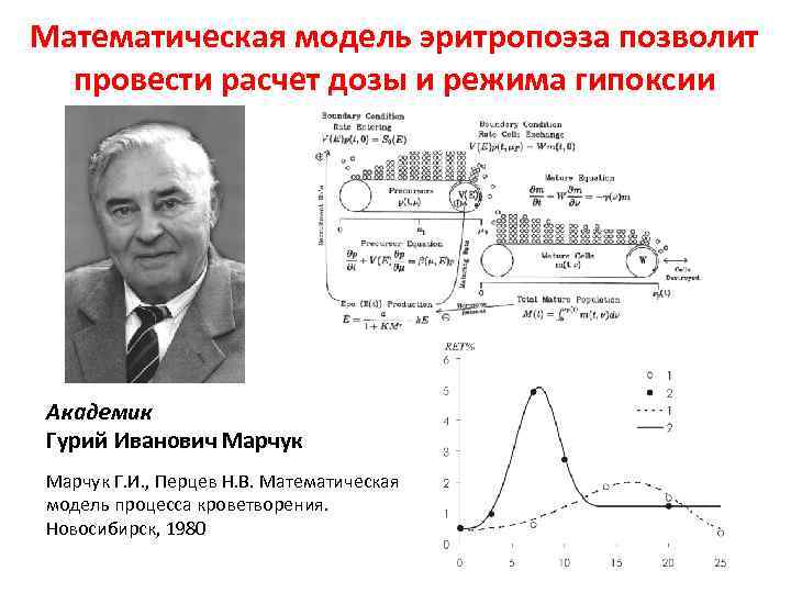 Математическая модель эритропоэза позволит провести расчет дозы и режима гипоксии Академик Гурий Иванович Марчук