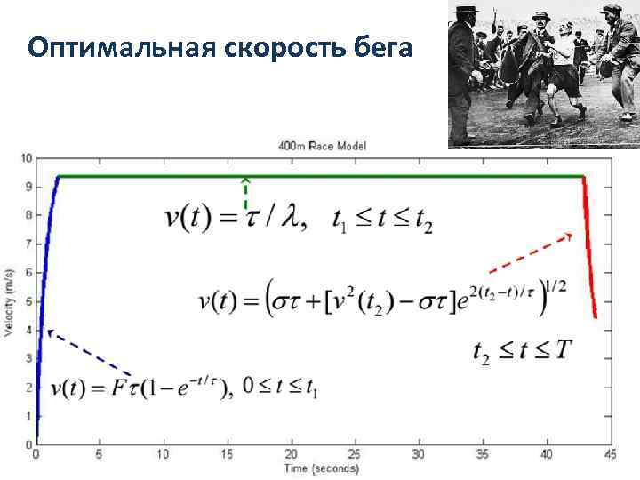 Оптимальная скорость бега 