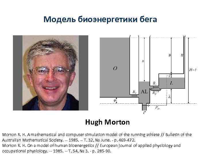 Модель биоэнергетики бега Hugh Morton R. H. A mathematical and computer simulation model of