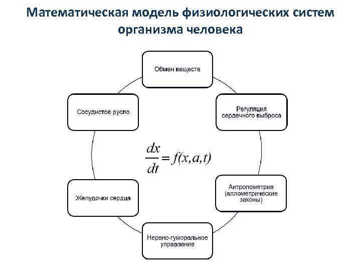 Математическая модель физиологических систем организма человека 