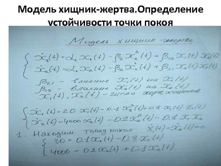 Модель хищник-жертва. Определение устойчивости точки покоя 