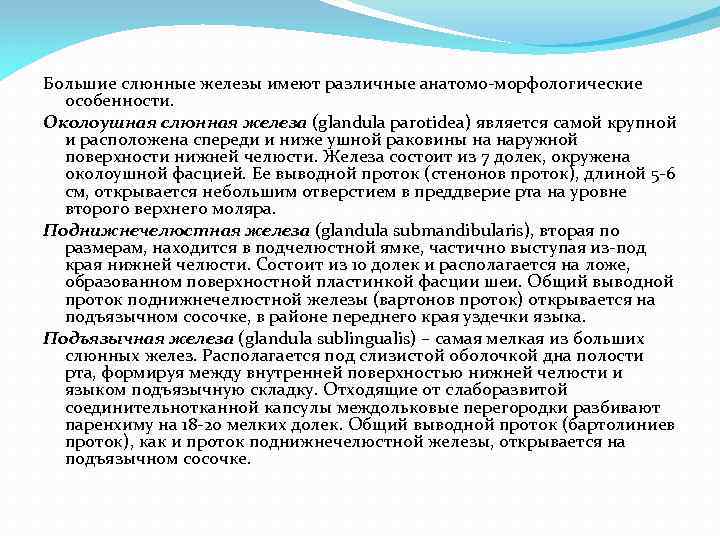 Большие слюнные железы имеют различные анатомо морфологические особенности. Околоушная слюнная железа (glandula parotidea) является