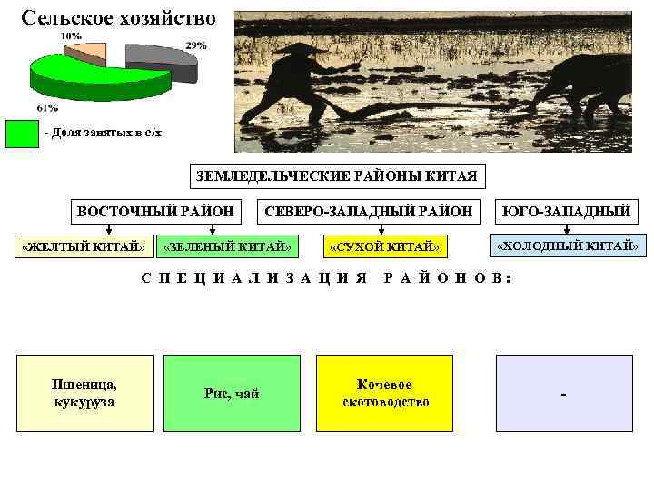 Сельское хозяйство - Доля занятых в с/х ЗЕМЛЕДЕЛЬЧЕСКИЕ РАЙОНЫ КИТАЯ ВОСТОЧНЫЙ РАЙОН «ЖЕЛТЫЙ КИТАЙ»