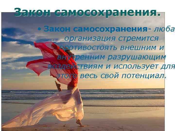 Самосохранение. Закон самосохранения. Закон самосохранения в природе. Самосохранение картинки. Закон самосохранения картинки.