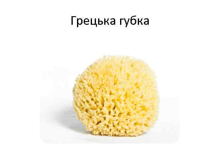 Грецька губка 