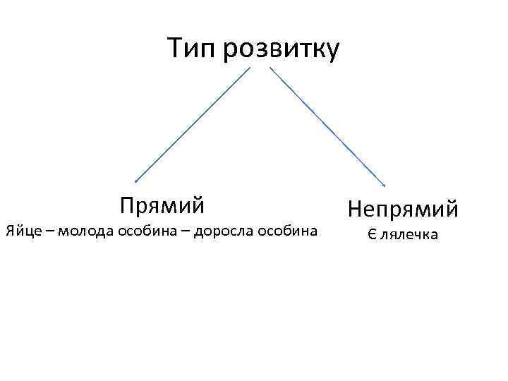 Тип розвитку Прямий Яйце – молода особина – доросла особина Непрямий Є лялечка 