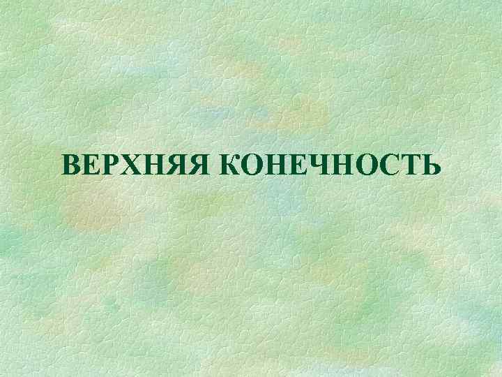 ВЕРХНЯЯ КОНЕЧНОСТЬ 