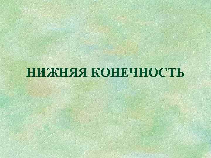 НИЖНЯЯ КОНЕЧНОСТЬ 