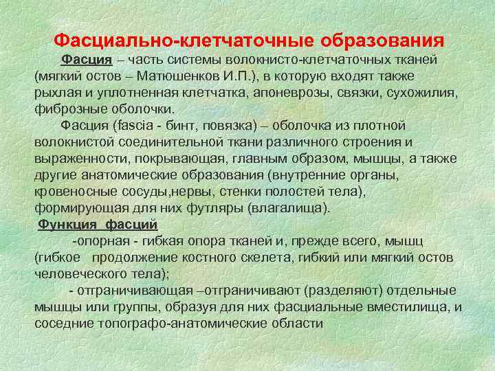 Фасциально-клетчаточные образования Фасция – часть системы волокнисто-клетчаточных тканей (мягкий остов – Матюшенков И. П.