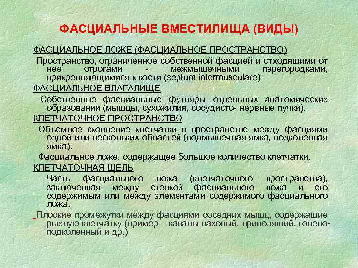 ФАСЦИАЛЬНЫЕ ВМЕСТИЛИЩА (ВИДЫ) ФАСЦИАЛЬНОЕ ЛОЖЕ (ФАСЦИАЛЬНОЕ ПРОСТРАНСТВО) Пространство, ограниченное собственной фасцией и отходящими от