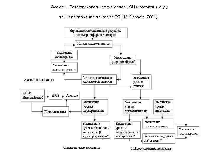 Схема 1. Патофизиологическая модель СН и возможные (*) точки приложения действия ЛС ( M.
