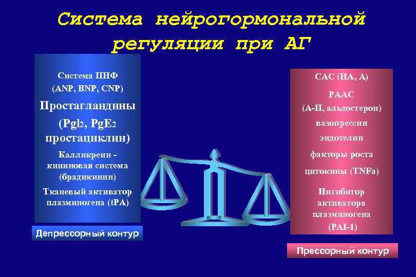 Система нейрогормональной регуляции при АГ Система ПНФ (ANP, BNP, CNP) Простагландины (Pgl 2, Pg.