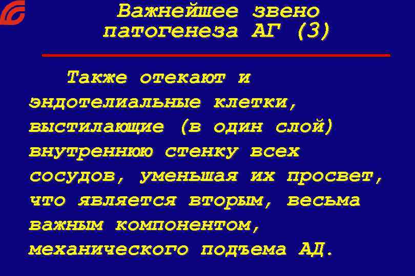 Важнейшее звено патогенеза АГ (3) Также отекают и эндотелиальные клетки, выстилающие (в один слой)