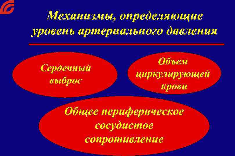 Механизмы, определяющие уровень артериального давления Сердечный выброс Объем циркулирующей крови Общее периферическое сосудистое сопротивление