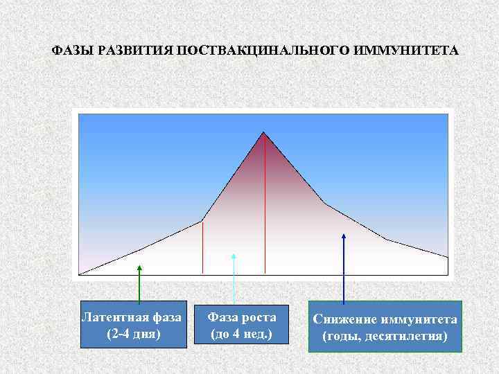 Роль анамнеза в составлении схемы дизонтогенеза