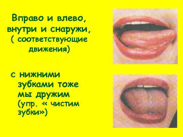 Вправо и влево, внутри и снаружи, ( соответствующие движения) с нижними зубками тоже мы