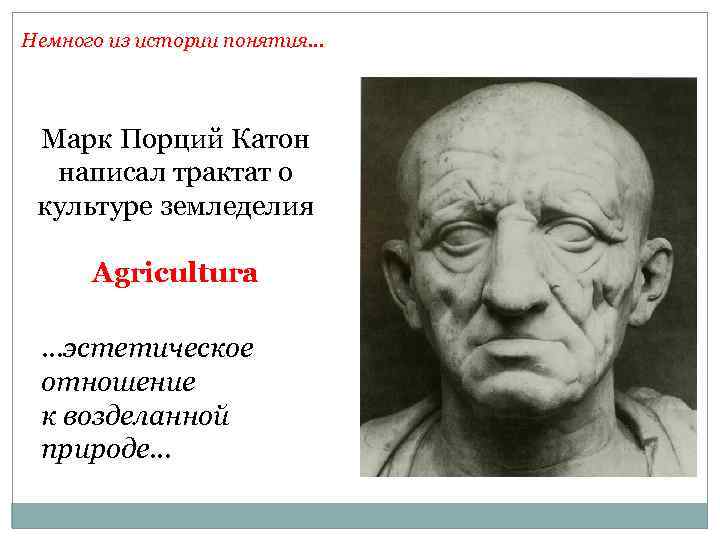 Немного из истории понятия… Марк Порций Катон написал трактат о культуре земледелия Agricultura …эстетическое