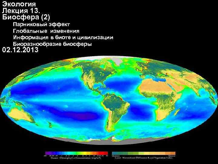 Экология Лекция 13. Биосфера (2) Парниковый эффект Глобальные изменения Информация в биоте и цивилизации