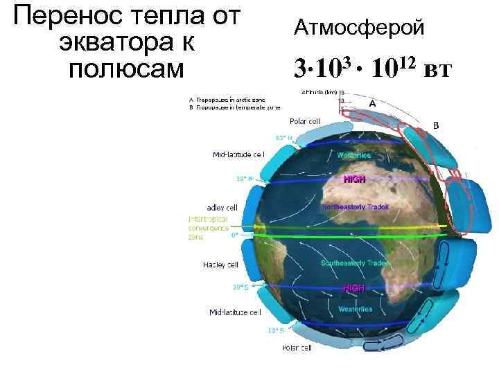 Перенос тепла от экватора к полюсам Атмосферой 3 103 1012 вт 