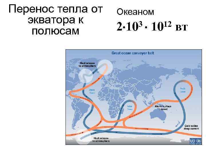 Перенос тепла от Океаном экватора к 2 103 1012 вт полюсам 