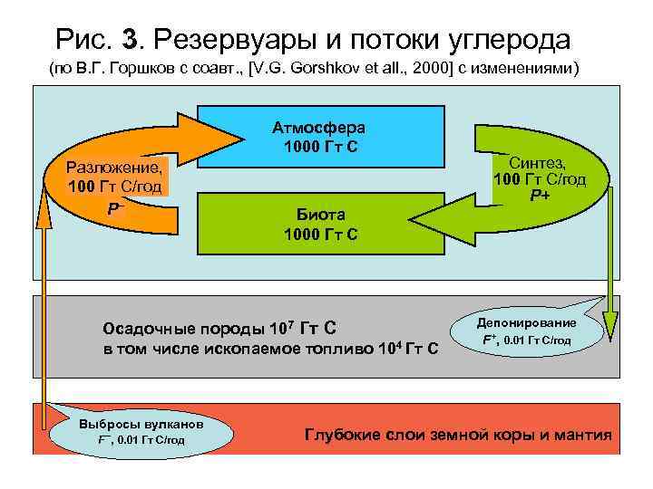 Рис. 3. Резервуары и потоки углерода (по В. Г. Горшков с соавт. , [V.