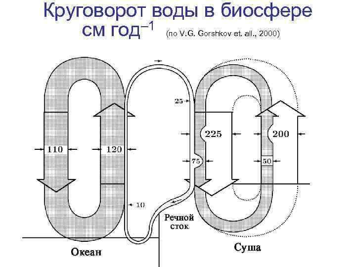 Круговорот воды в биосфере см год– 1 (по V. G. Gorshkov et. all. ,