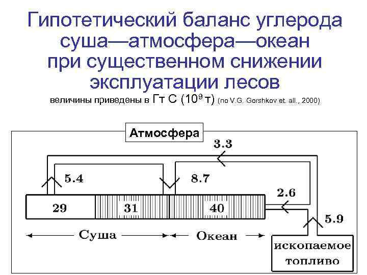 Гипотетический баланс углерода суша—атмосфера—океан при существенном снижении эксплуатации лесов величины приведены в Гт С