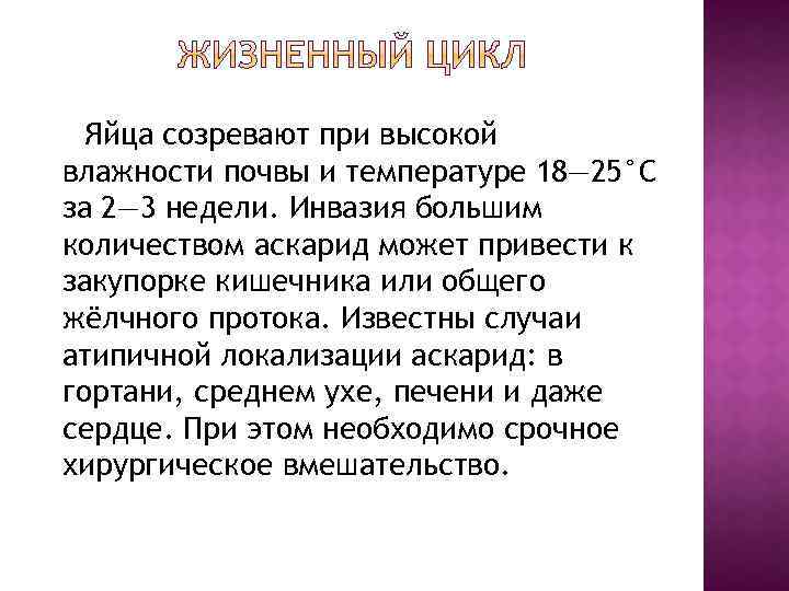 Яйца созревают при высокой влажности почвы и температуре 18— 25°С за 2— 3 недели.