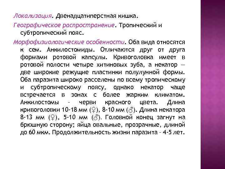 Локализация. Двенадцатиперстная кишка. Географическое распространение. Тропический и субтропический пояс. Морфофизиологические особенности. Оба вида относятся