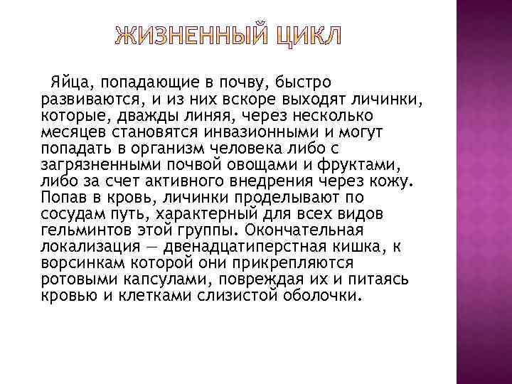 Яйца, попадающие в почву, быстро развиваются, и из них вскоре выходят личинки, которые, дважды