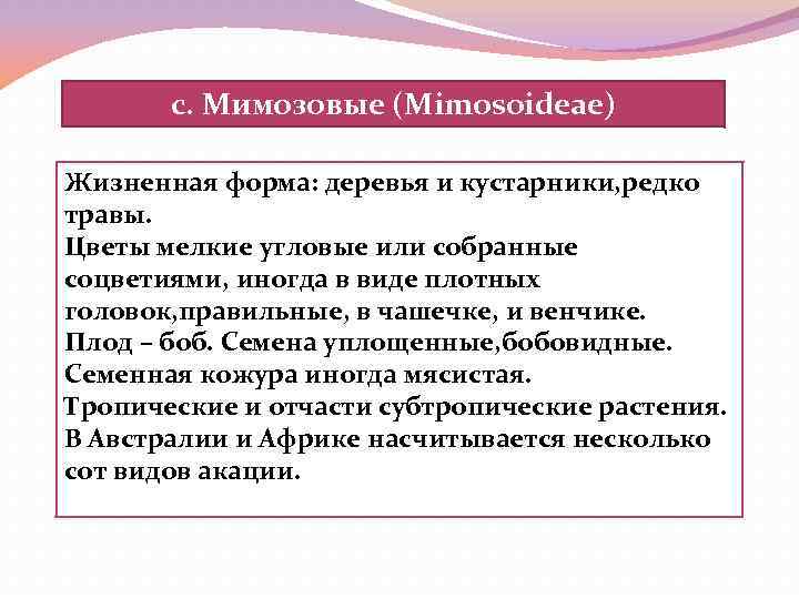 c. Мимозовые (Mimosoideae) Жизненная форма: деревья и кустарники, редко травы. Цветы мелкие угловые или