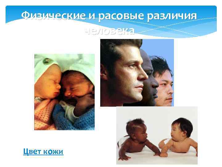 Физические и расовые различия человека Цвет кожи 
