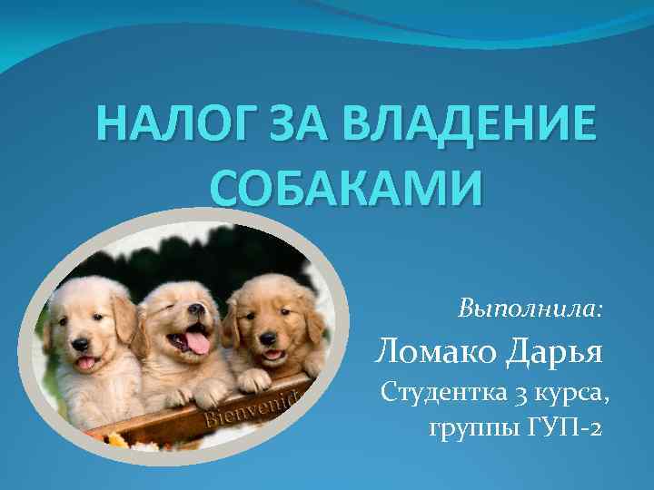 НАЛОГ ЗА ВЛАДЕНИЕ СОБАКАМИ Выполнила: Ломако Дарья Студентка 3 курса, группы ГУП-2 