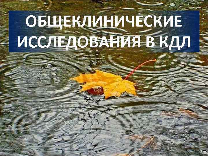 ОБЩЕКЛИНИЧЕСКИЕ ИССЛЕДОВАНИЯ В КДЛ 