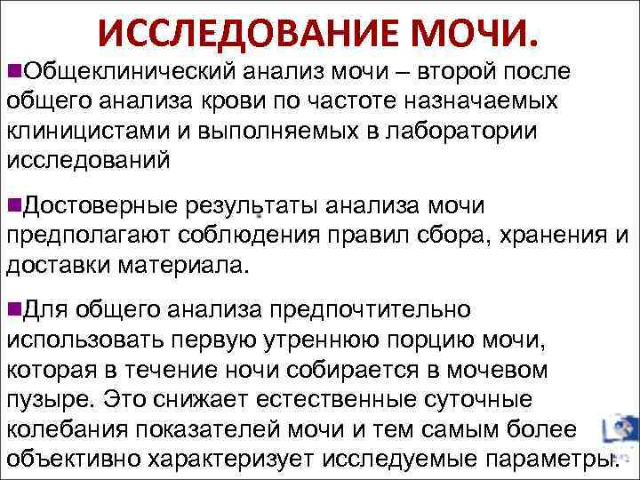ИССЛЕДОВАНИЕ МОЧИ. n. Общеклинический анализ мочи – второй после общего анализа крови по частоте