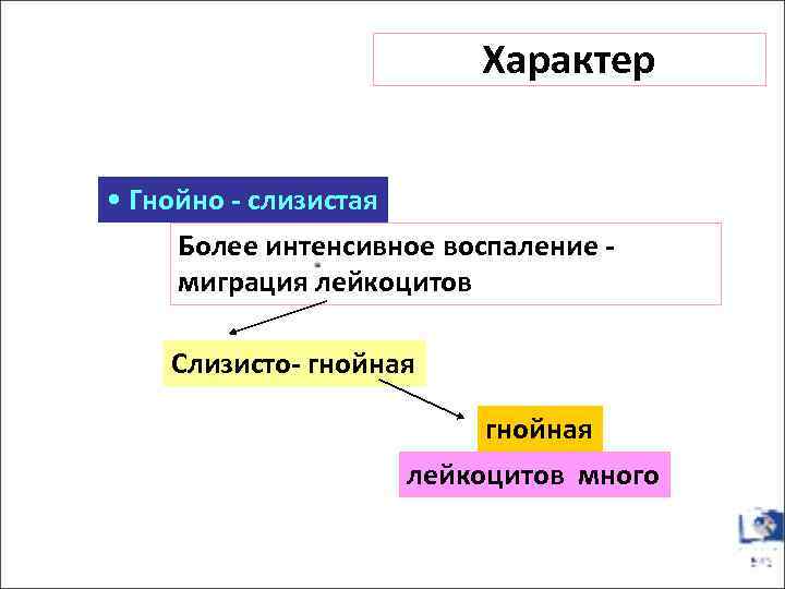 Характер • Гнойно - слизистая Более интенсивное воспаление - миграция лейкоцитов Слизисто- гнойная лейкоцитов