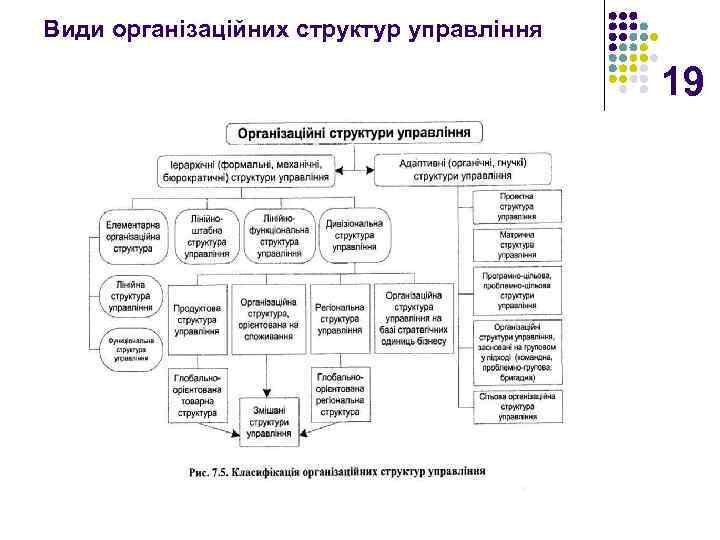 Види організаційних структур управління 19 