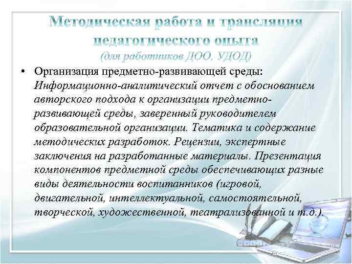  • Организация предметно-развивающей среды: Информационно-аналитический отчет с обоснованием авторского подхода к организации предметноразвивающей