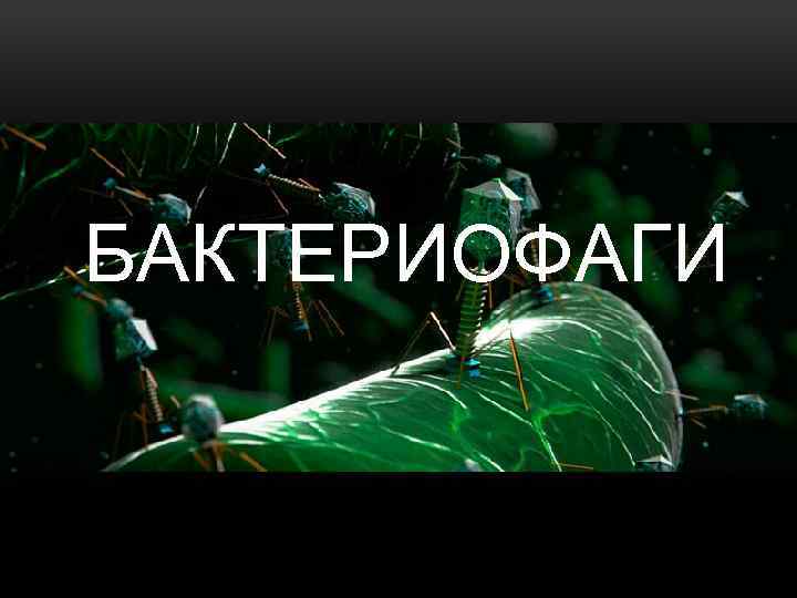 БАКТЕРИОФАГИ 