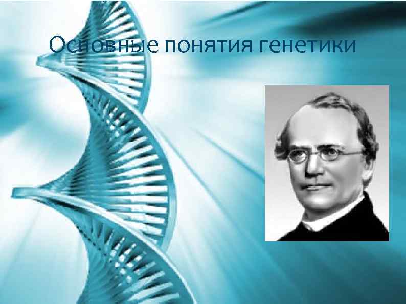 Основные понятия генетики 