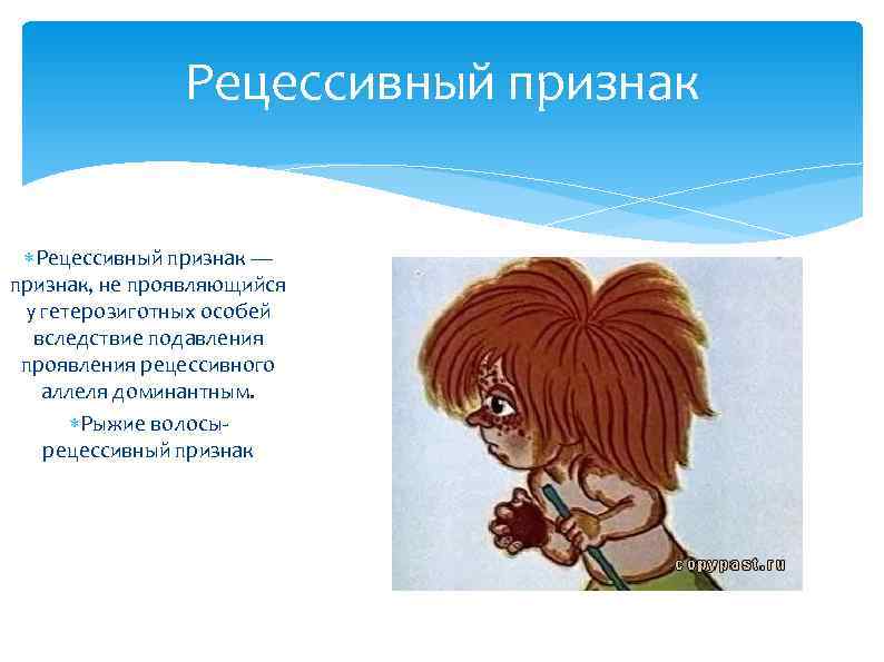 Рецессивный признак — признак, не проявляющийся у гетерозиготных особей вследствие подавления проявления рецессивного аллеля