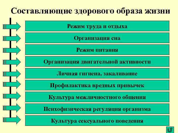 Составляющие здорового образа жизни Режим труда и отдыха Организация сна Режим питания Организация двигательной