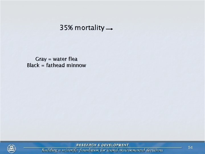 35% mortality Gray = water flea Black = fathead minnow 54 