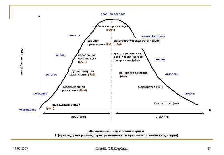 средний возраст стабильная организация (РАe. I) зрелость РАEI, поведение юность детство рождение ухаживание пожилой