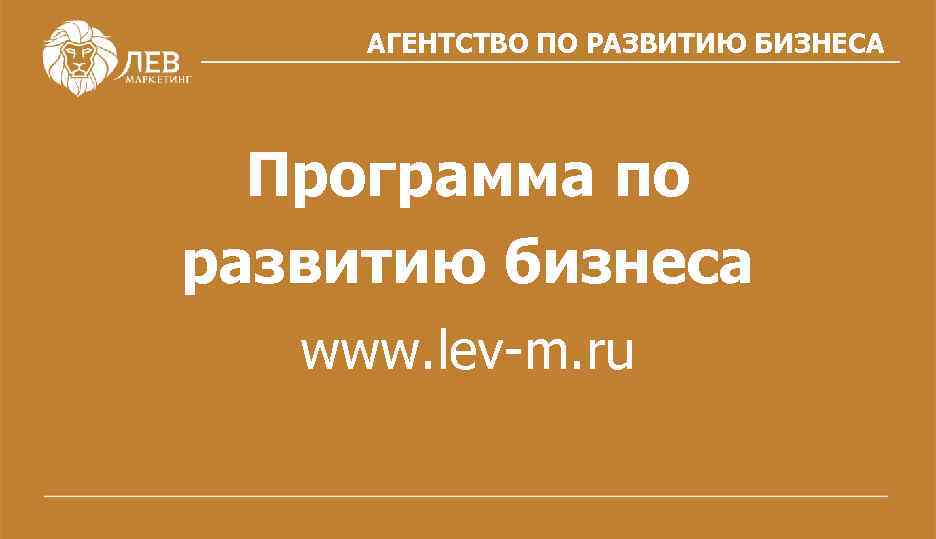 АГЕНТСТВО ПО РАЗВИТИЮ БИЗНЕСА Программа по развитию бизнеса www. lev-m. ru 