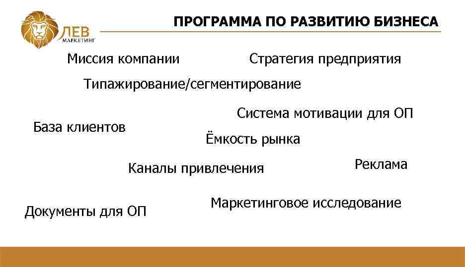 ПРОГРАММА ПО РАЗВИТИЮ БИЗНЕСА Миссия компании Стратегия предприятия Типажирование/сегментирование Система мотивации для ОП База