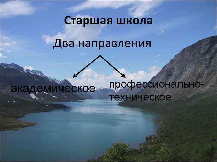 Старшая школа Два направления академическое профессиональнотехническое 